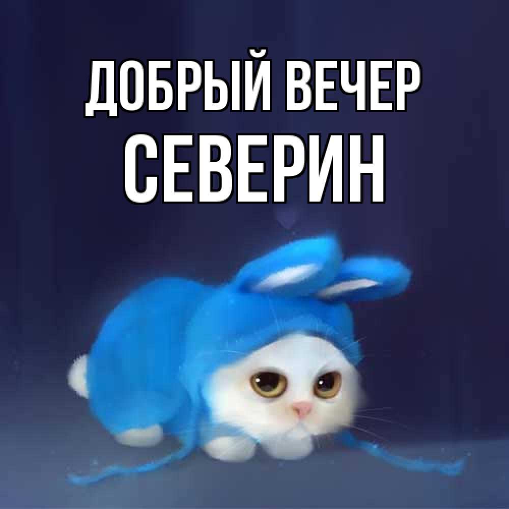 Открытка  с именем. Северин, Добрый вечер  