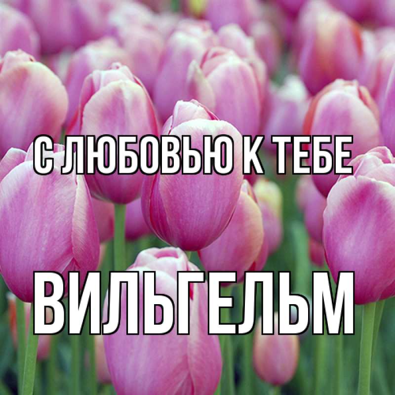 Картинка С любовью к тебе, Вильгельм