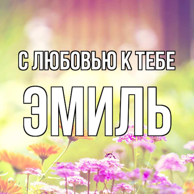 Картинка С любовью к тебе, Эмиль