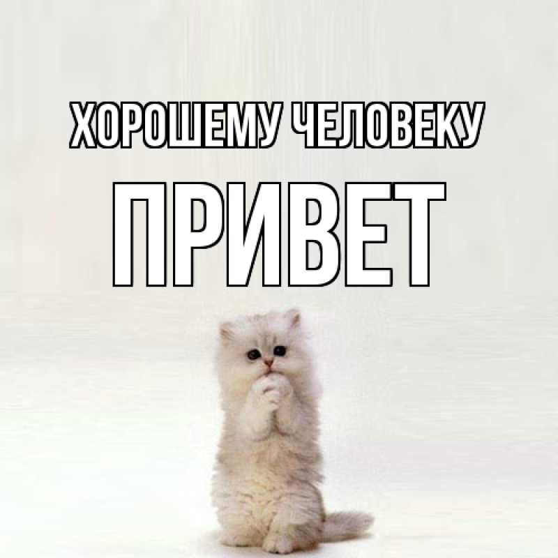 Картинка Хорошему человеку, Привет