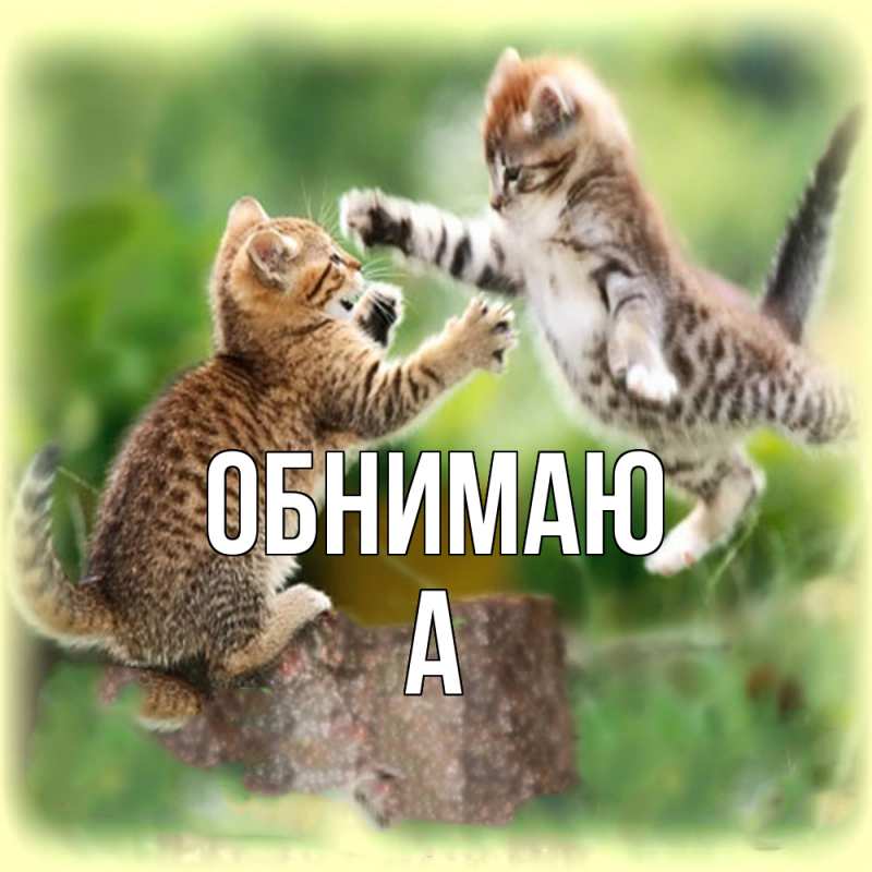 Картинка Обнимаю, а