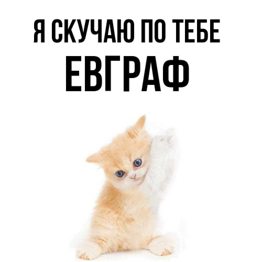 Открытка  с именем. Евграф, Я скучаю по тебе  