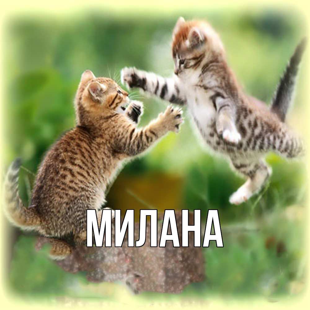 Открытка  с именем. Милана, Главная  