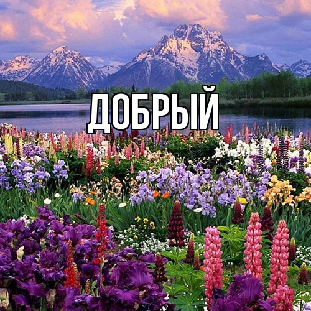 Открытка  с именем. Добрый, Главная  