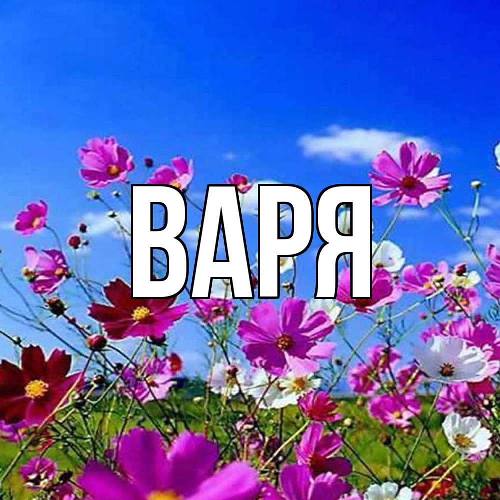 Открытка  с именем. варя, Главная  