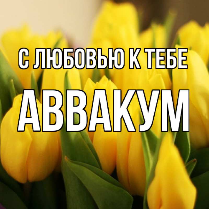 Картинка С любовью к тебе, Аввакум