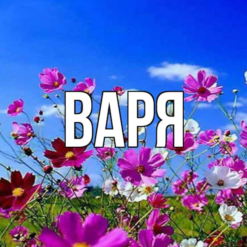 Картинка  с именем , варя