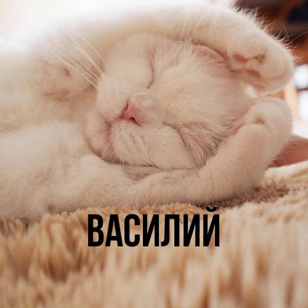 Открытка  с именем. Василий, Главная  
