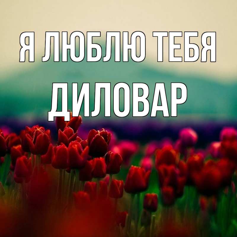 Картинка Я люблю тебя, Диловар