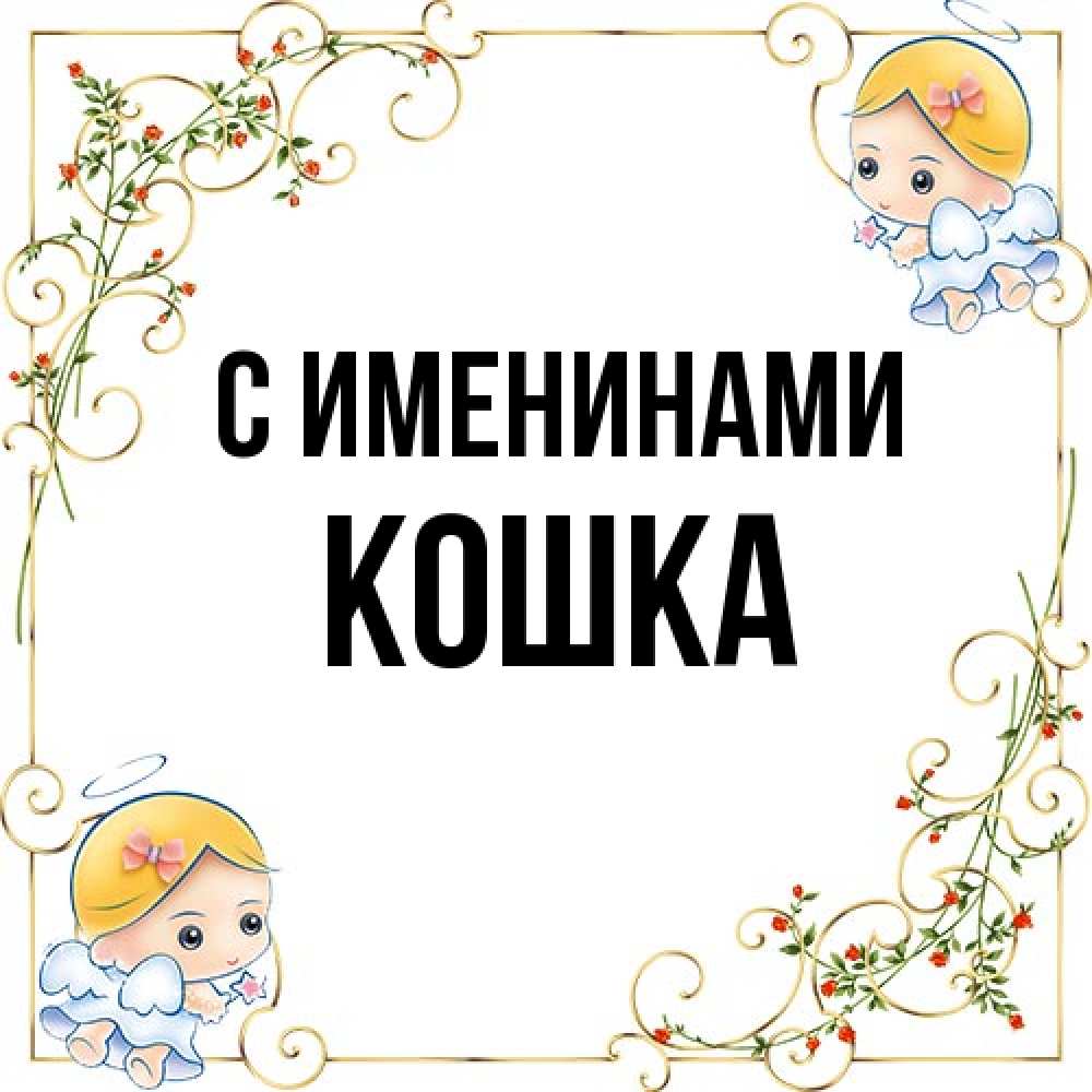 Открытка  с именем. Кошка, С именинами  