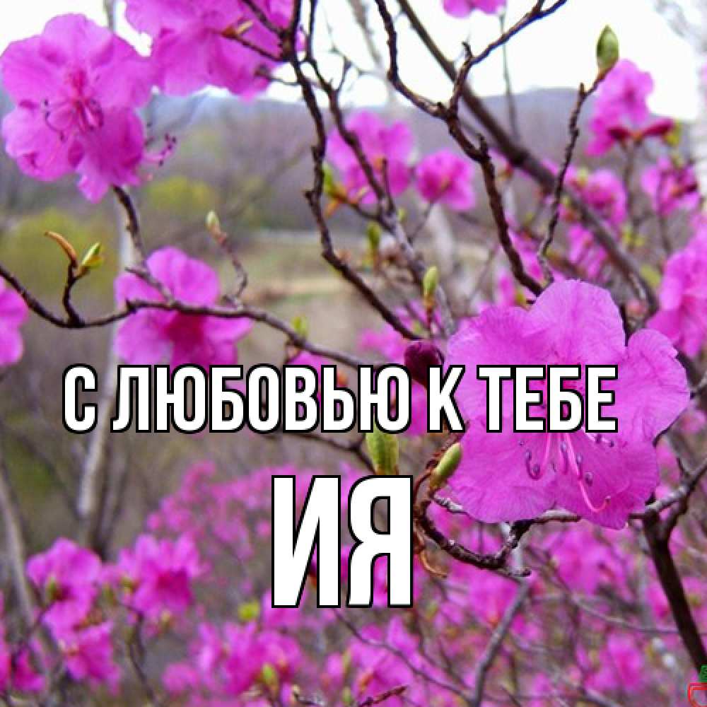 Открытка  с именем. Ия, С любовью к тебе  