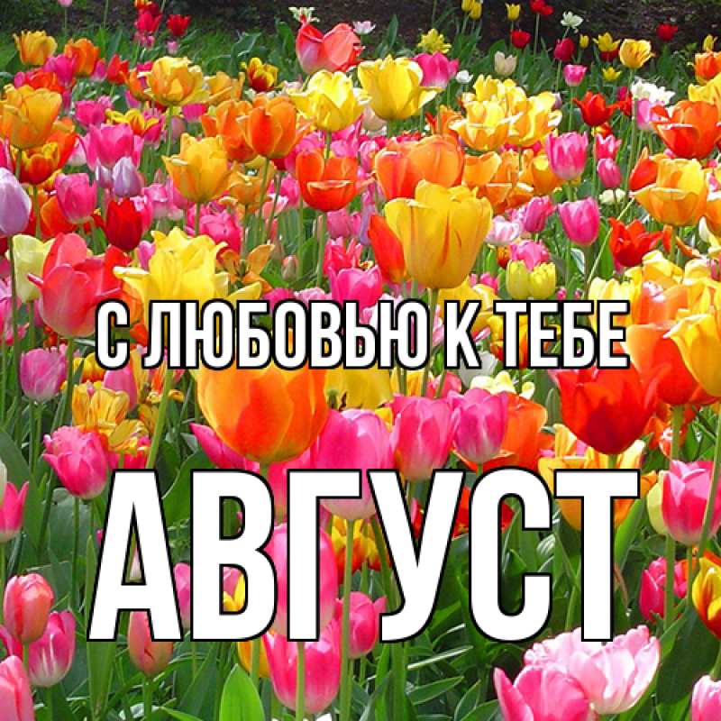 Картинка С любовью к тебе, Август