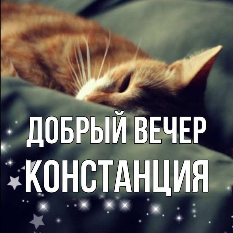 Картинка Добрый вечер, Констанция