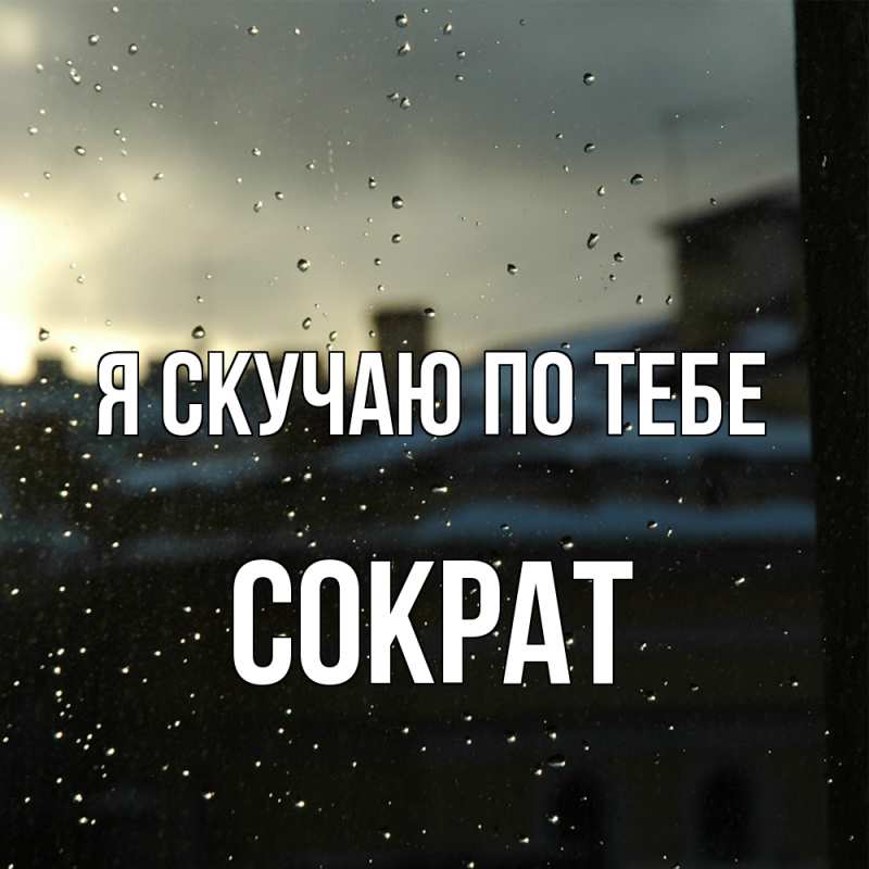 Картинка Я скучаю по тебе, Сократ