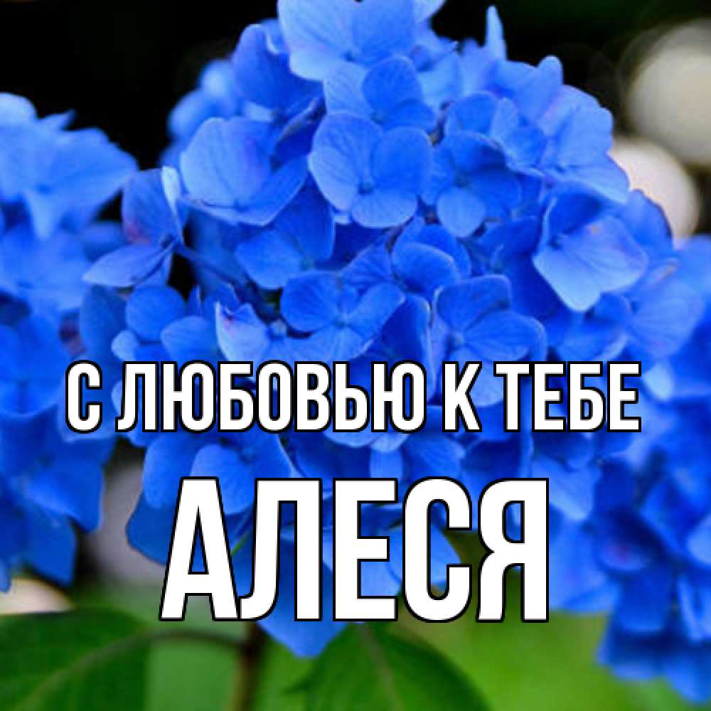 Открытка  с именем. Алеся, С любовью к тебе  