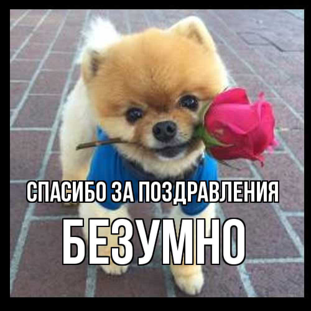 Открытка  с именем. безумно, Спасибо за поздравления  