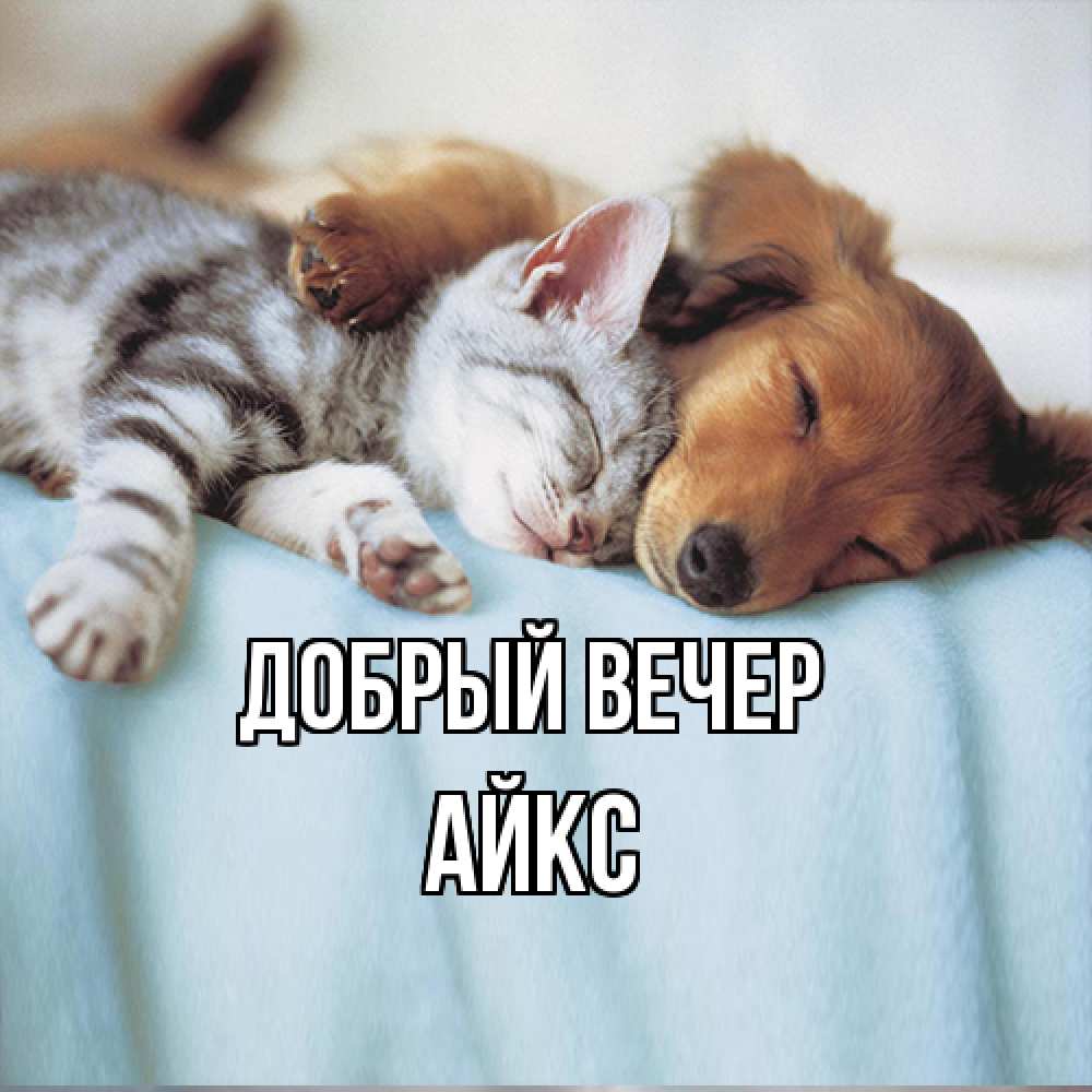 Открытка  с именем. АйкС, Добрый вечер  