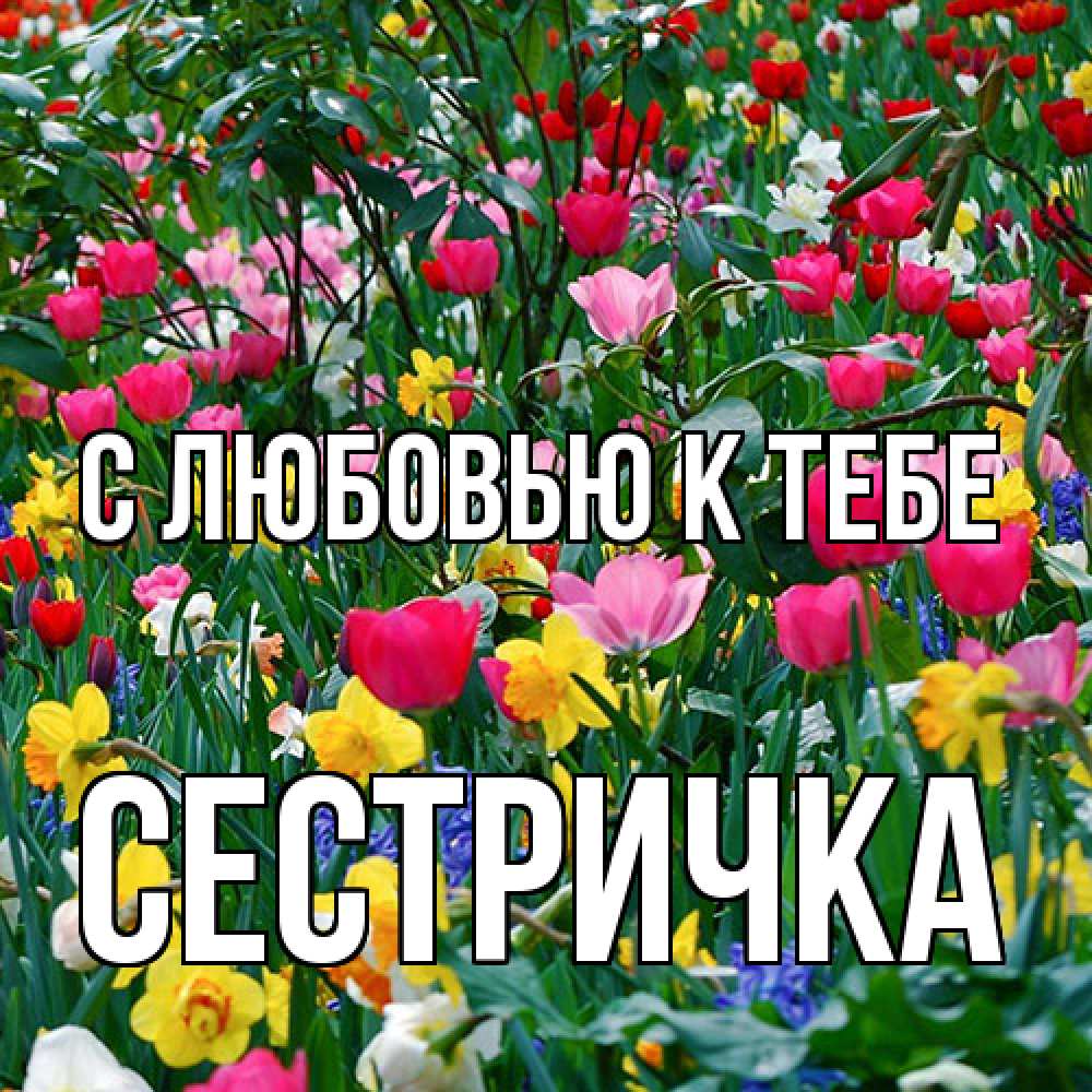 Открытка  с именем. Сестричка, С любовью к тебе  