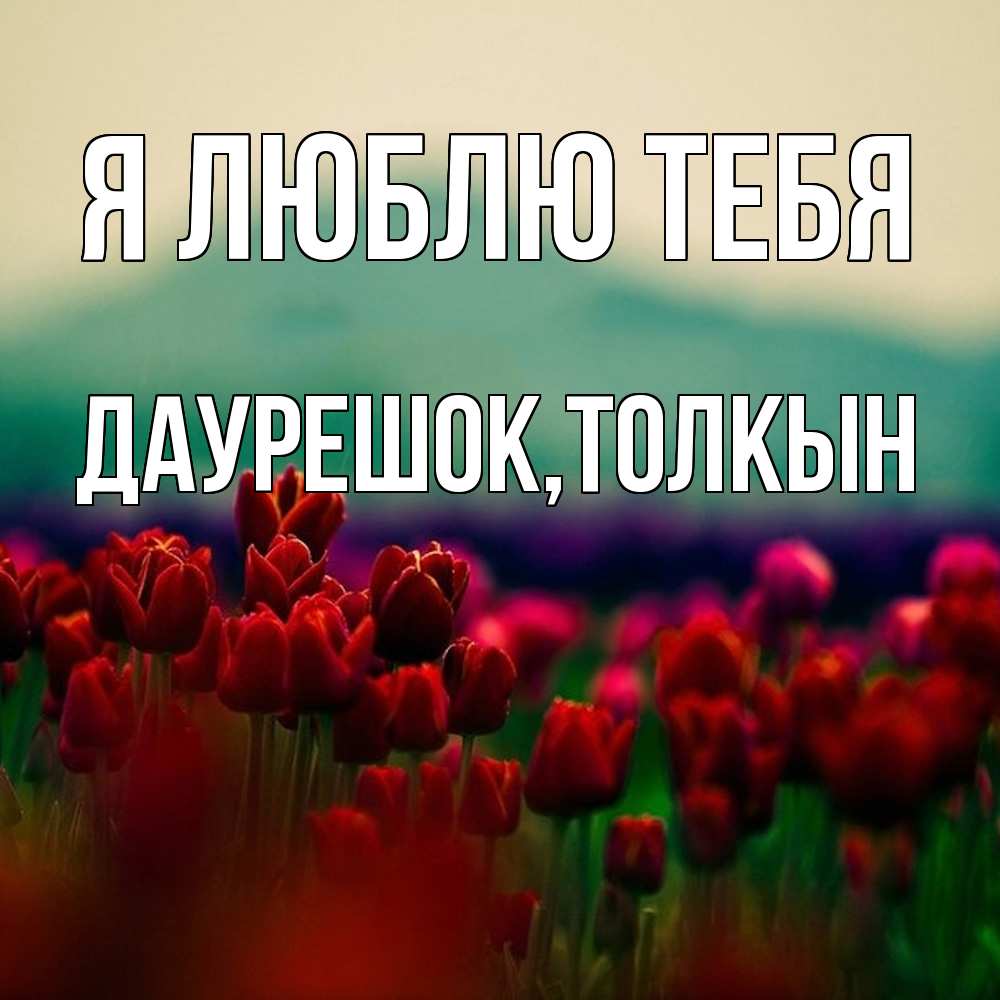 Открытка  с именем. Даурешок, Я люблю тебя  