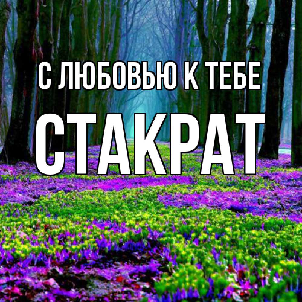 Открытка  с именем. Стакрат, С любовью к тебе  