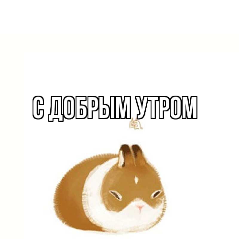 Картинка С добрым утром, 