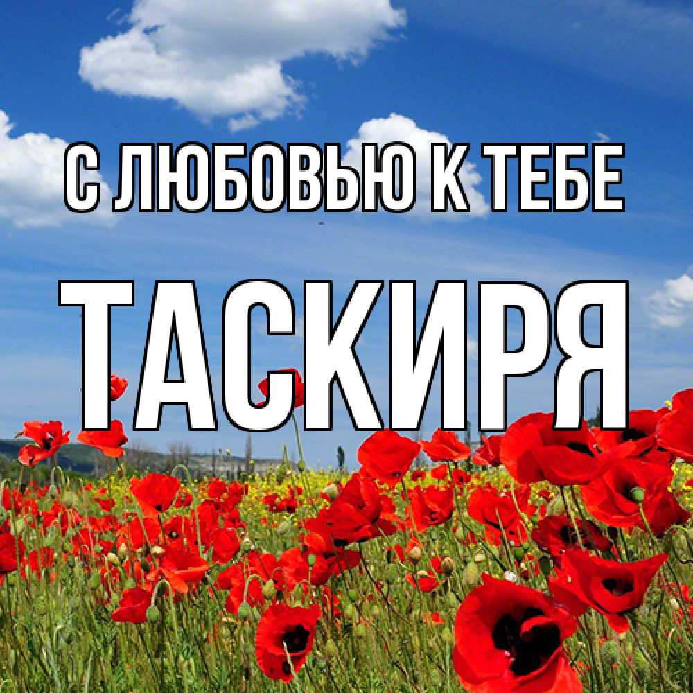 Открытка  с именем. Таскиря, С любовью к тебе  