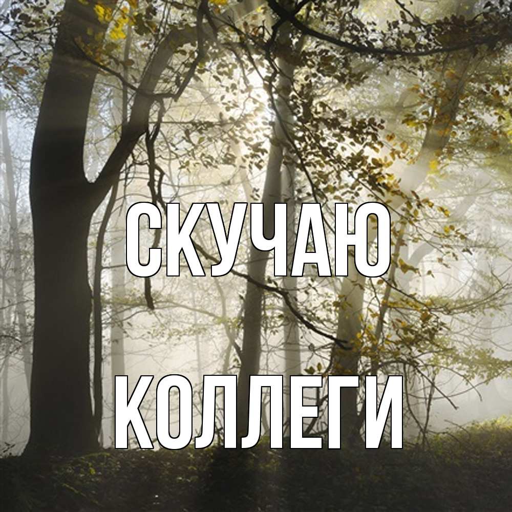 Открытка  с именем. коллеги, Скучаю  
