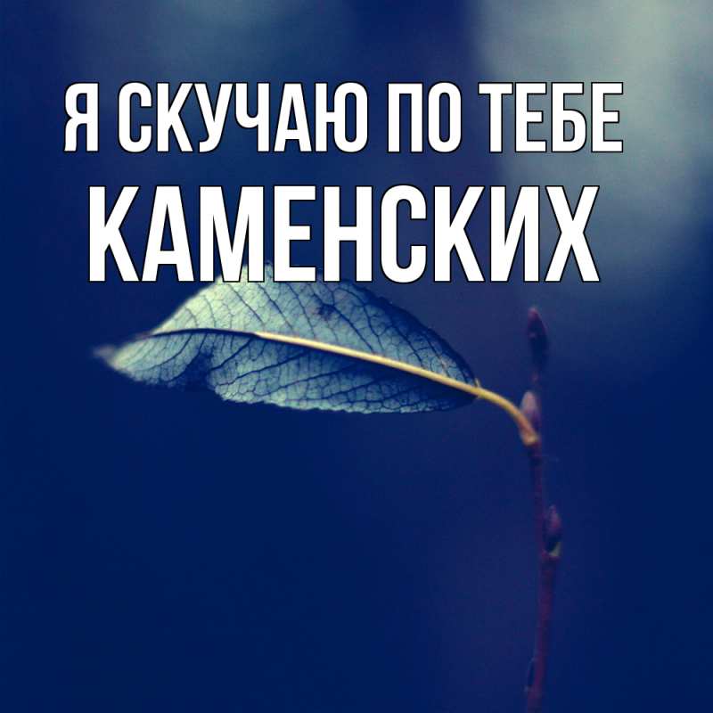 Картинка Я скучаю по тебе, Каменских