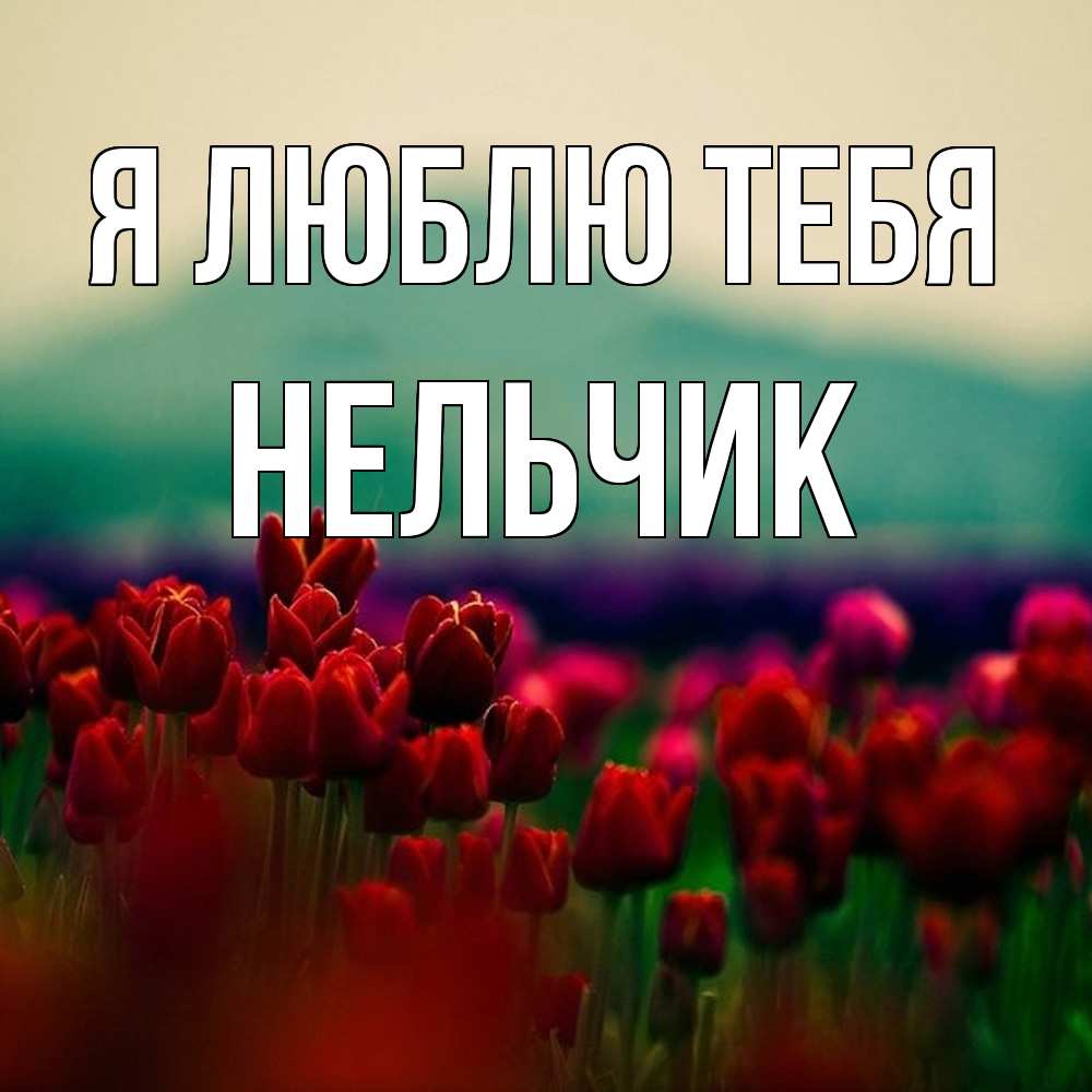 Открытка  с именем. Нельчик, Я люблю тебя  