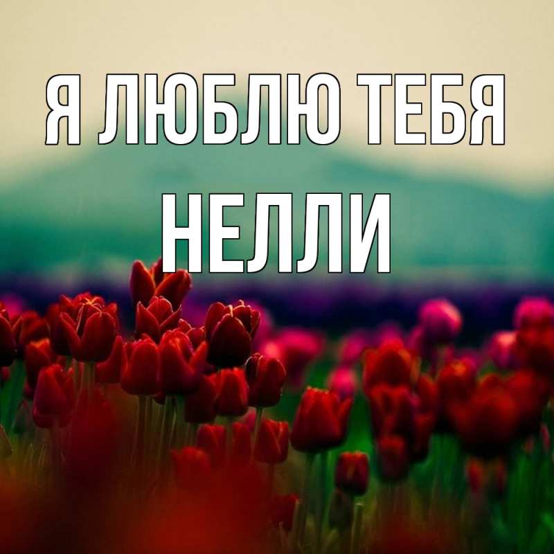 Картинка Я люблю тебя, Нелли