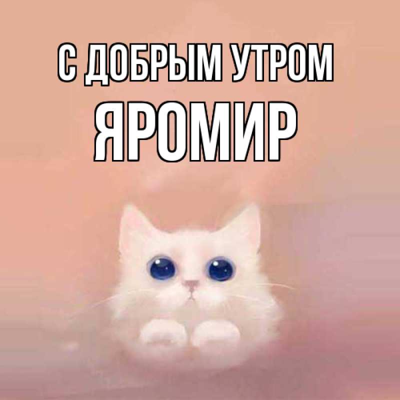 Картинка С добрым утром, Яромир