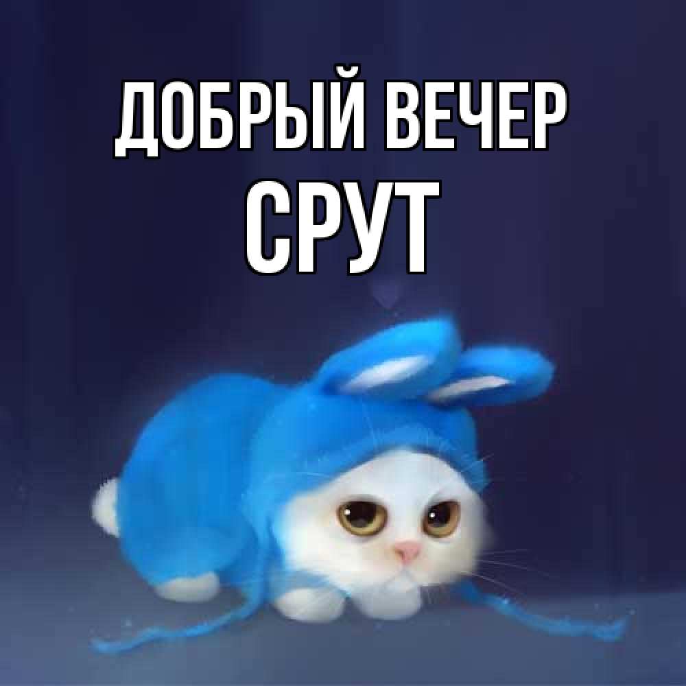 Открытка  с именем. срут, Добрый вечер  