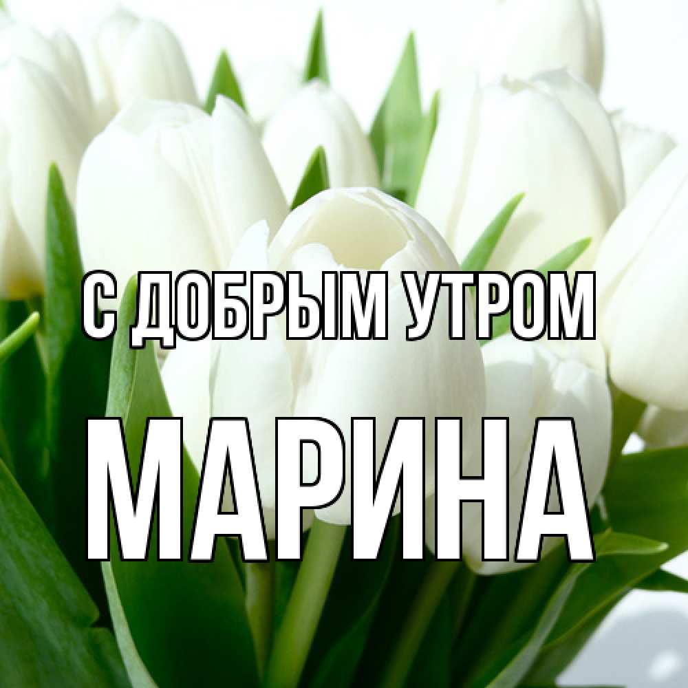 Открытка  с именем. Марина, С добрым утром  