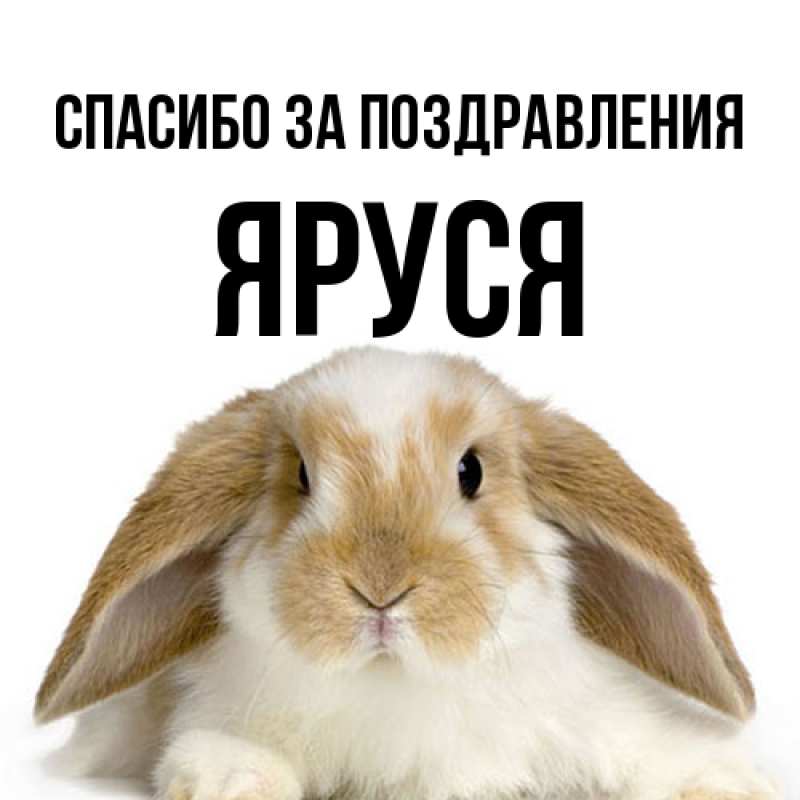 Картинка Спасибо за поздравления, Яруся