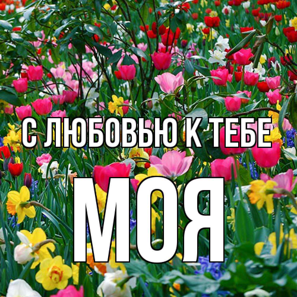 Открытка  с именем. Моя, С любовью к тебе  