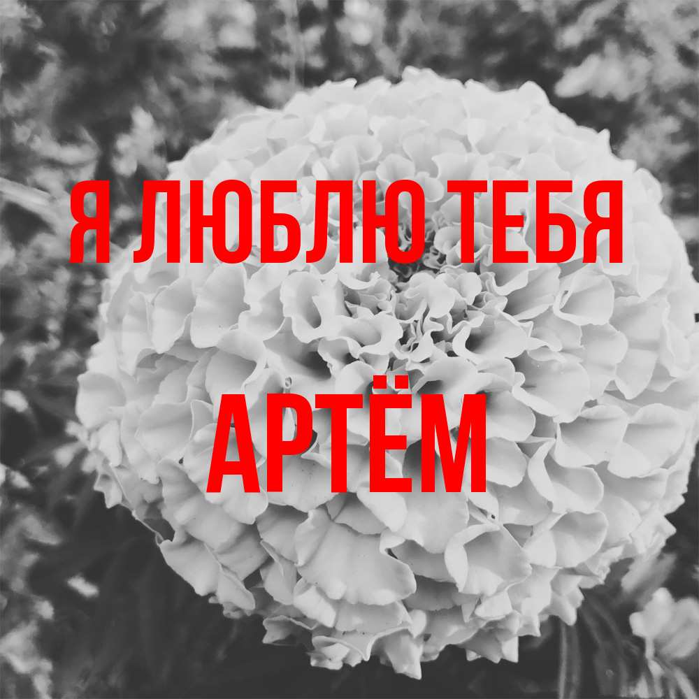 Открытка  с именем. Артём, Я люблю тебя  