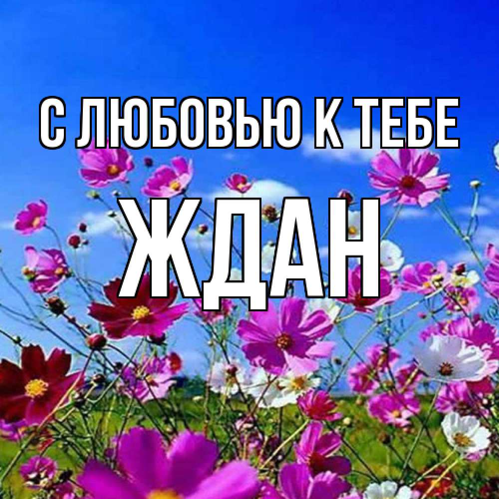 Открытка  с именем. Ждан, С любовью к тебе  