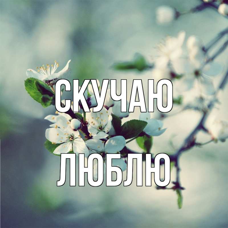 Картинка Скучаю, Люблю