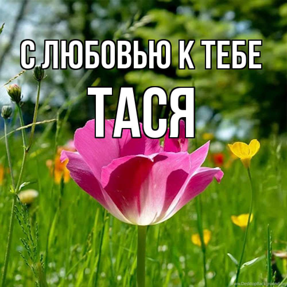 Открытка  с именем. Тася, С любовью к тебе  