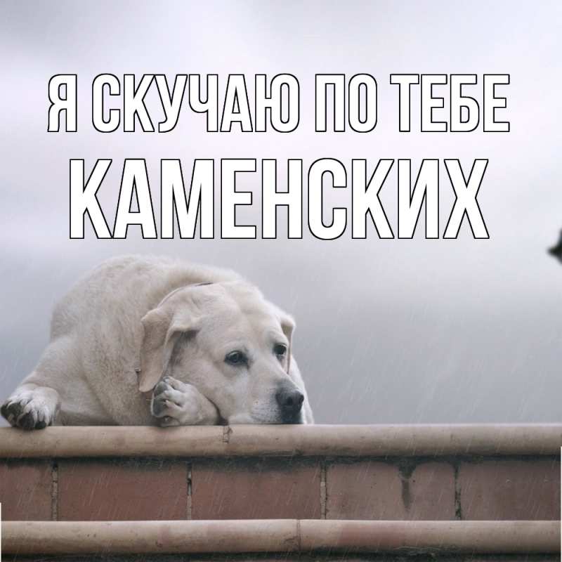Картинка Я скучаю по тебе, Каменских