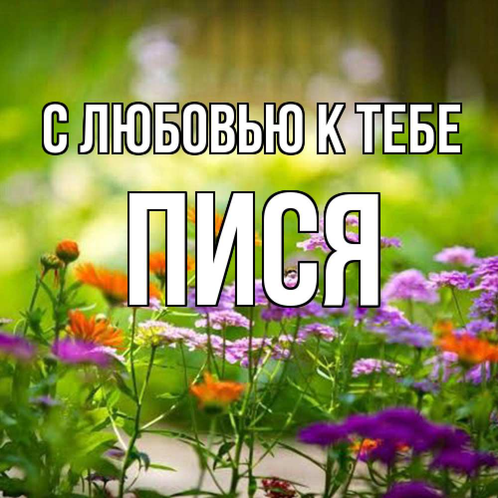 Открытка  с именем. пися, С любовью к тебе  