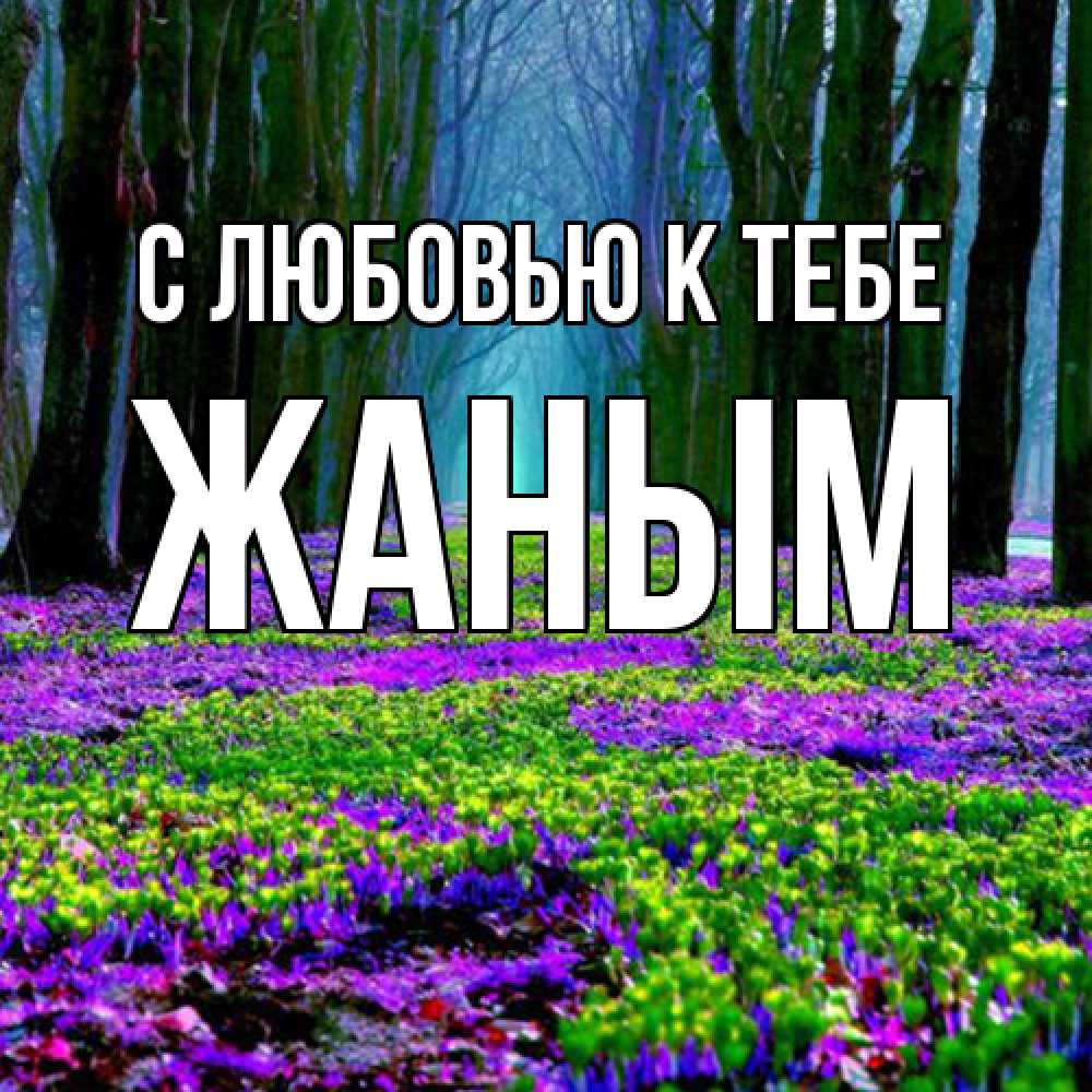 Открытка  с именем. Жаным, С любовью к тебе  