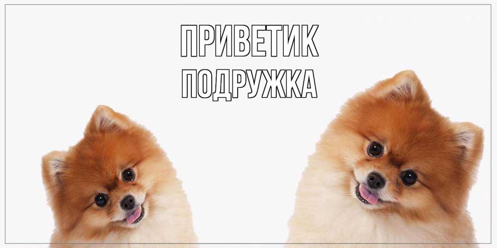 Открытка  с именем. Подружка, приветик  