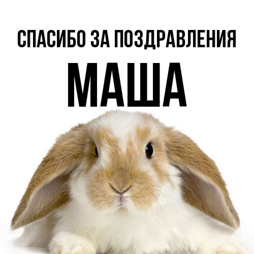 Открытка  с именем. Маша, Спасибо за поздравления  