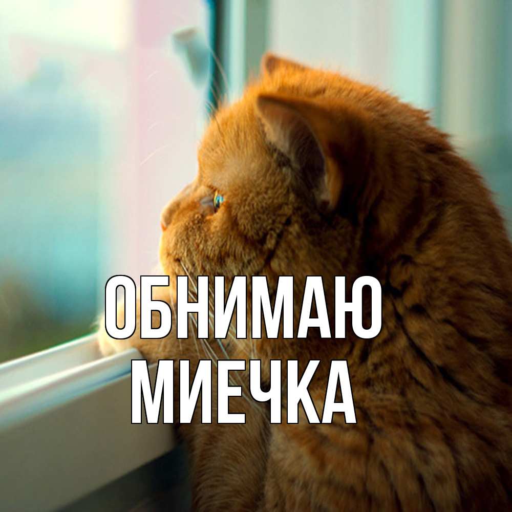 Открытка  с именем. Миечка, Обнимаю  