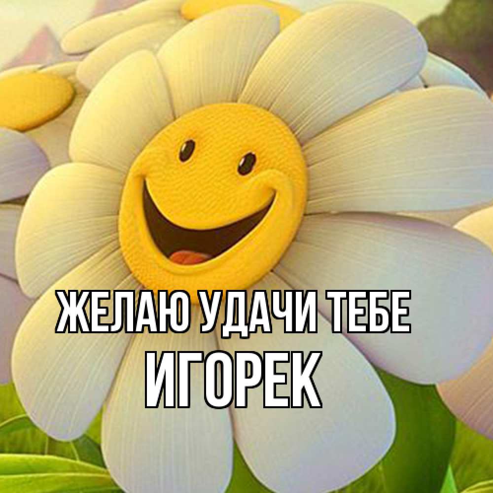 Открытка  с именем. Игорек, Желаю удачи тебе  
