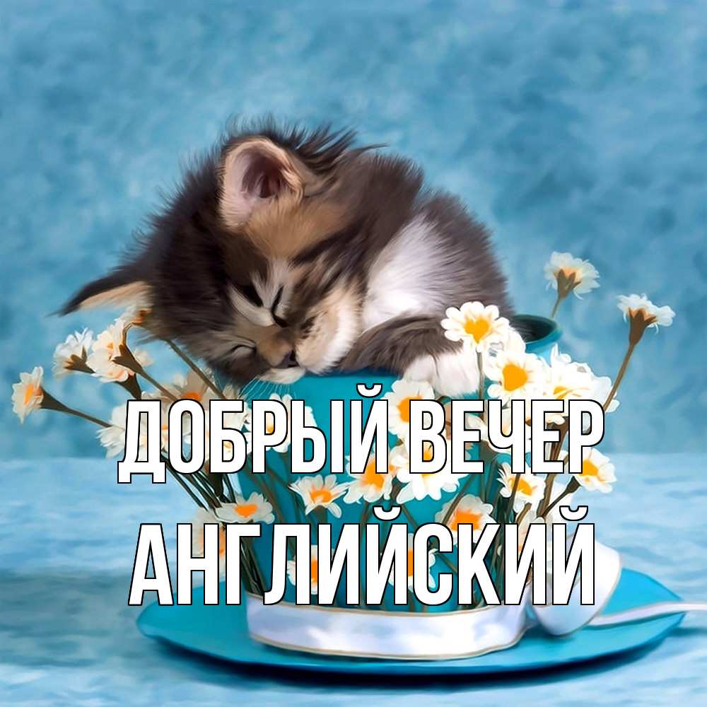 Открытка  с именем. Английский, Добрый вечер  