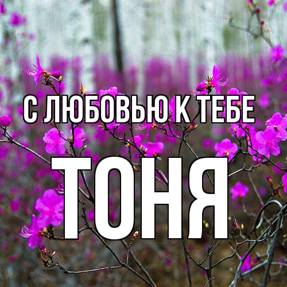 Открытка  с именем. Тоня, С любовью к тебе  