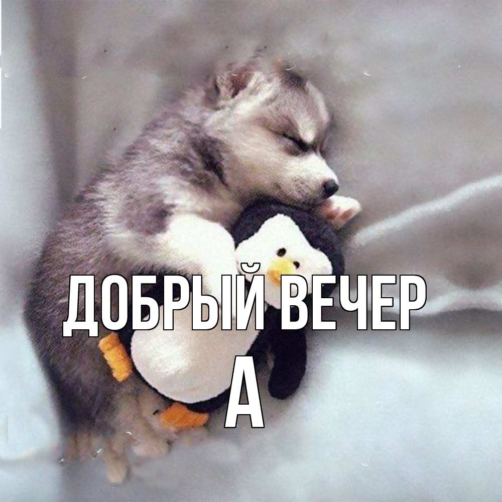 Открытка  с именем. а, Добрый вечер  