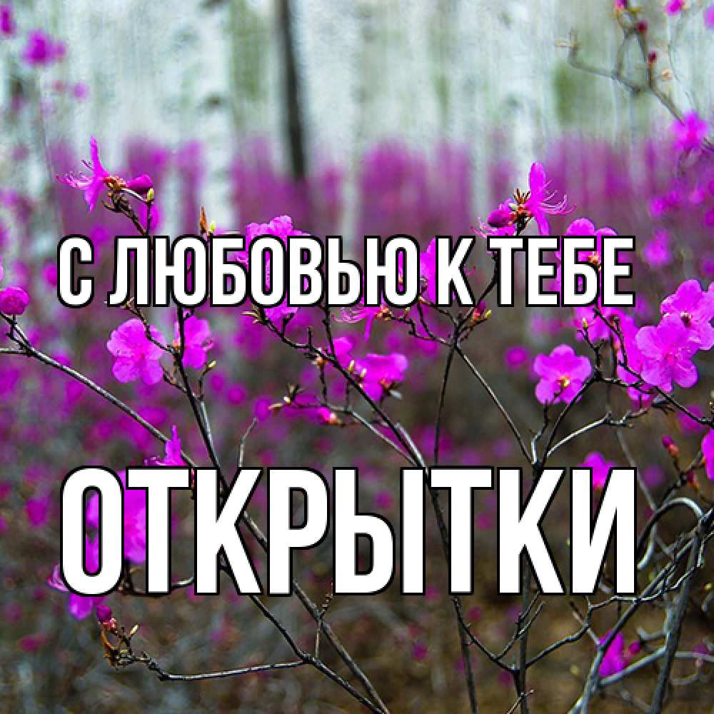 Открытка  с именем. открытки, С любовью к тебе  